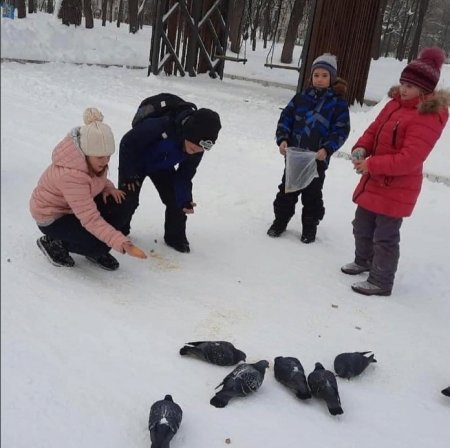 Воспитанники ОРНсОВ приняли участие в акции "Покорми птиц зимой". Ребята ежедневно посещают городской парк,где пополняют кормушки для птиц кормом.