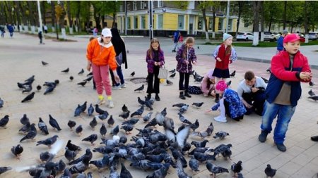 Воспитанники ОДиСР полустационарной формы обслуживания кормят птиц не только зимой!